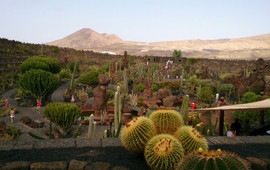 Jardin de Cactus Restaurant