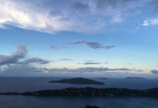 Blue Orchid美食图片