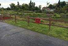 A&W Restaurant美食图片