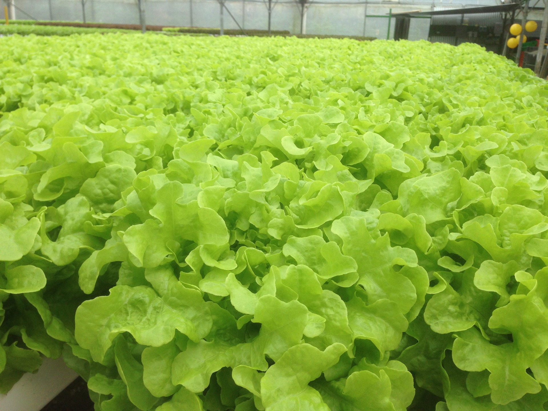 RetroGusto Restaurant & Bar