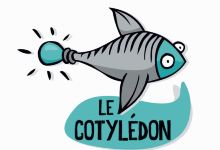 Le Cotylédon美食图片