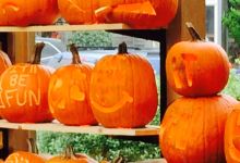 Driftwood Restaurant & Lounge美食图片