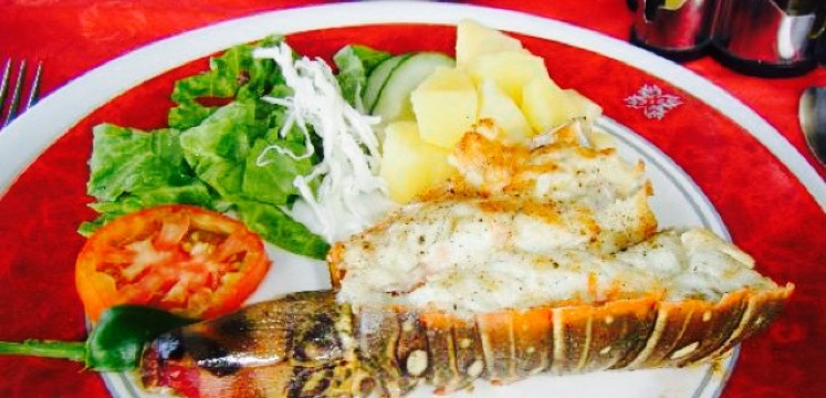 Meson del Quijote餐厅图片