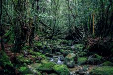 白谷云水峡-屋久岛町-doris圈圈