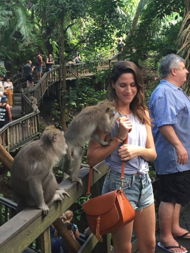 Ubud Monkey Forest
