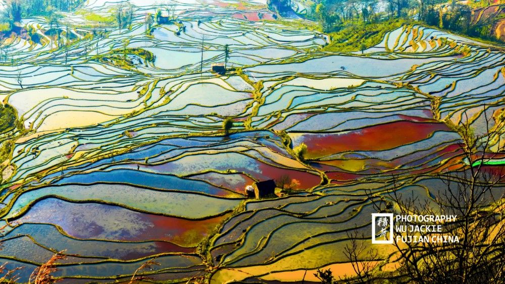 “调色板”拍摄于云南省红河州元阳梯田