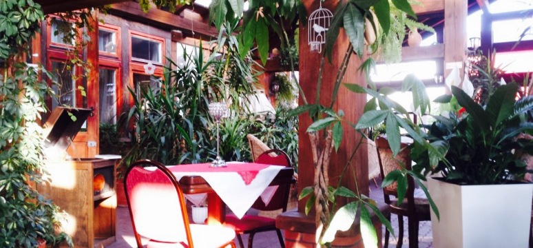 Amida Restauracja