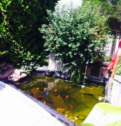 Restaurant La Cigogne餐厅图片