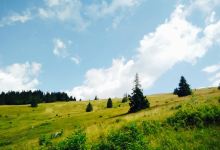 Berggasthaus Zum Krunkelbach美食图片