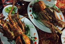 Thien Phuc Restaurant美食图片