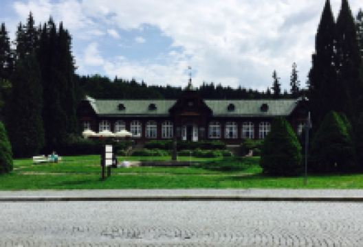 Restaurace a kavarna Letni Lazne美食图片