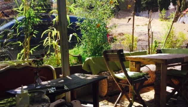 Free d'Home餐厅图片