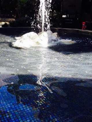 Gelato Messina餐厅图片