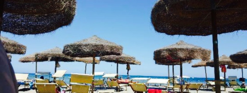 Vela Sport餐厅图片