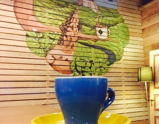 Rimbun Coffee