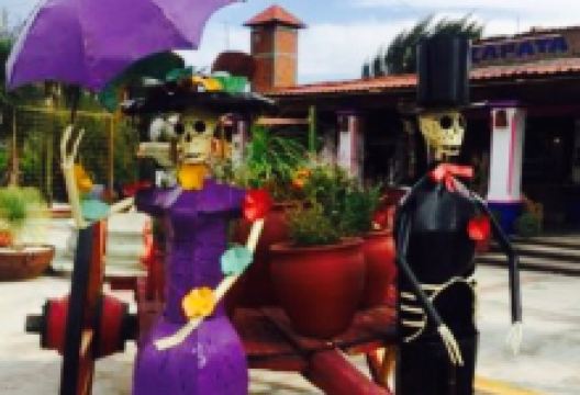 Rancho Zapata - Mezcalera Productora Artesanal & Restaurante Gourmet美食图片