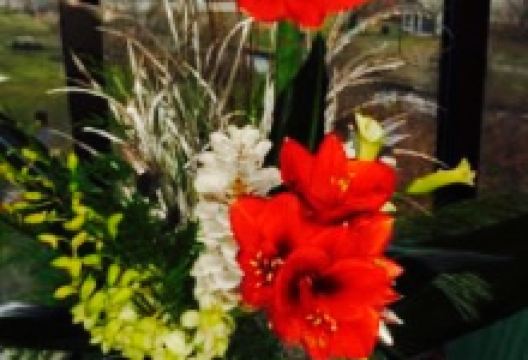 Cafe Strega美食图片