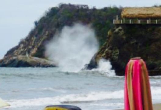 Tito's Place美食图片