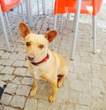 Restaurante Marisqueira A Piscina