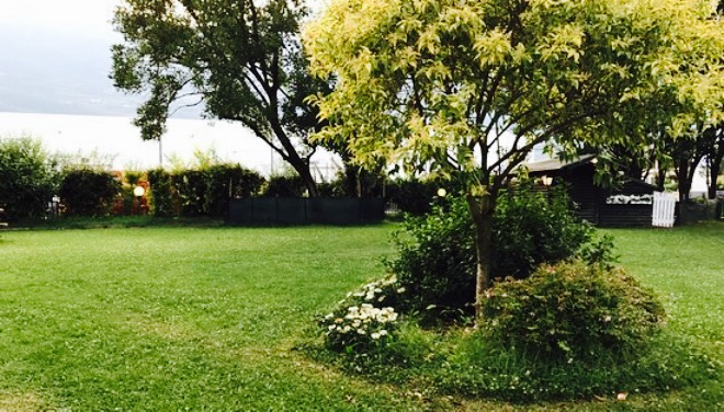 Pizzeria la Margherita餐厅图片