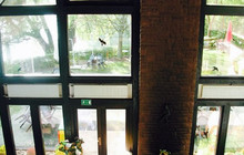 Restaurant Seehof餐厅图片