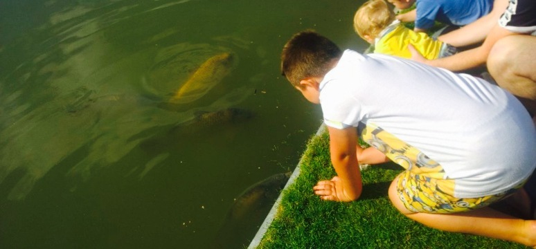 Samuel Barlow Bar & Restaurant