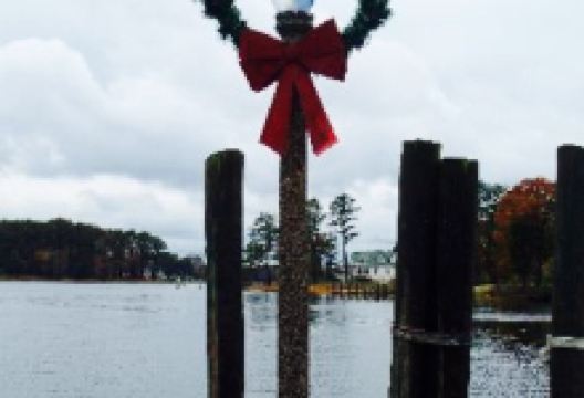 Mallards at the Wharf美食图片