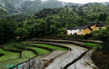 三丘田休闲农庄餐厅图片