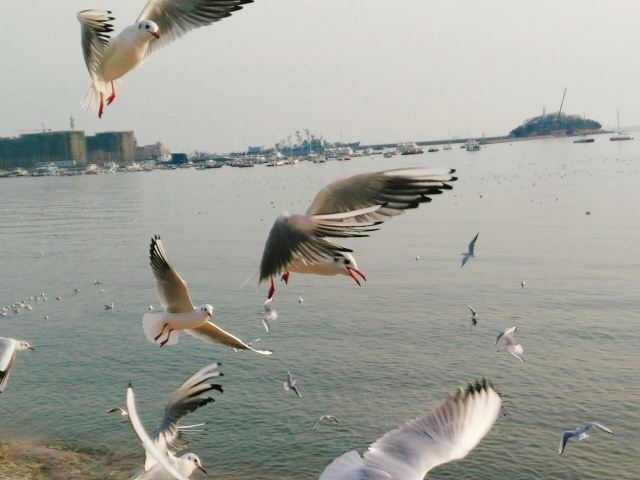 잔교(잔차오)