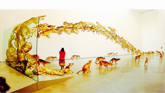 國際當代藝術展