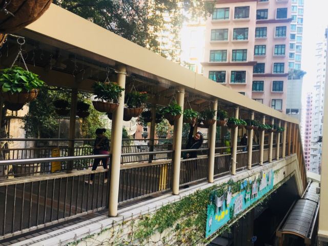 Central to Mid-Levels Escalator