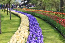 库肯霍夫公园-利瑟-doris圈圈