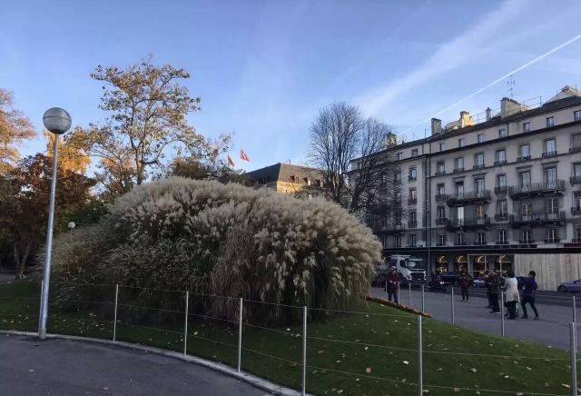 English Garden