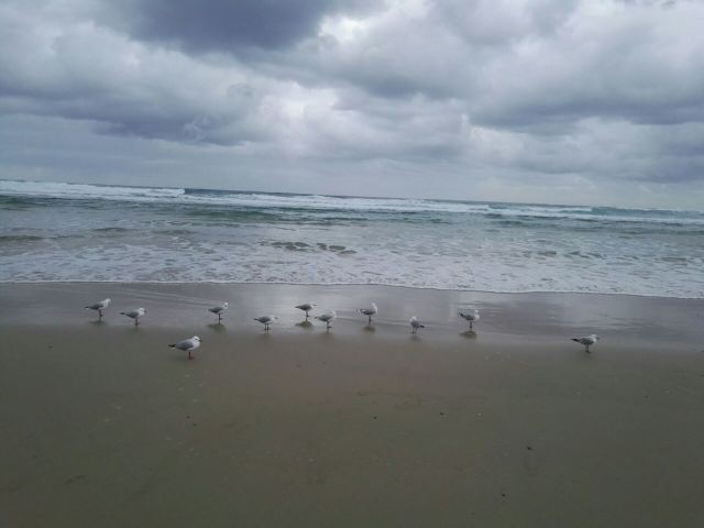 Surfers Paradise