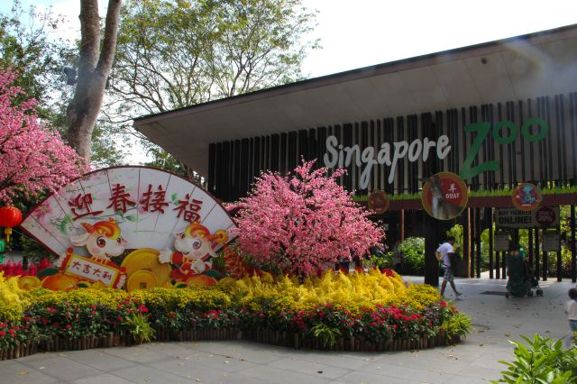 Singapore Zoo