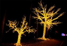 滨湖国家森林公园-合肥-doris圈圈