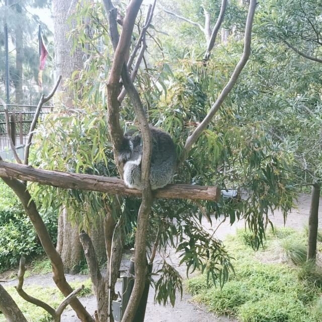 Melbourne Zoo