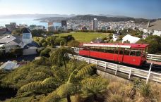 单轨缆车-Wellington Central-doris圈圈