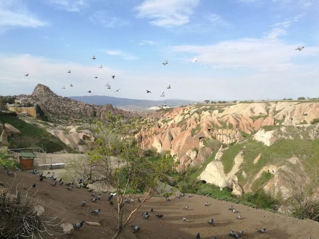 Pigeon Valley