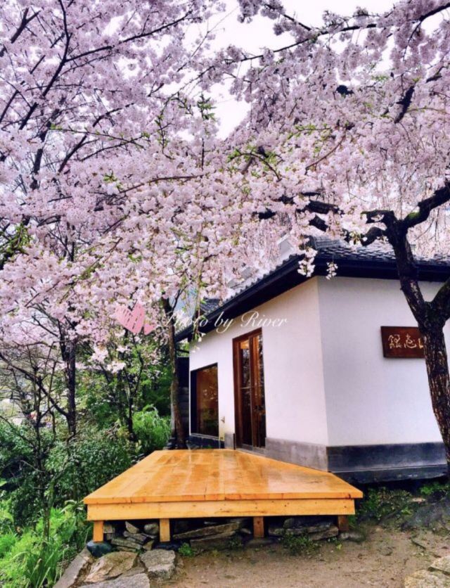 哲學之道