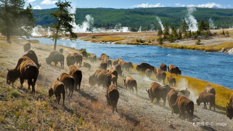 3-Day Yellowstone National Park Bilingual Tour from Salt Lake City · Jackson, Grand Teton and Bear World