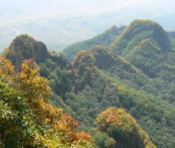 拉法山國家森林公園