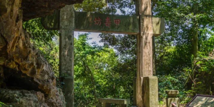 天童國家森林公園