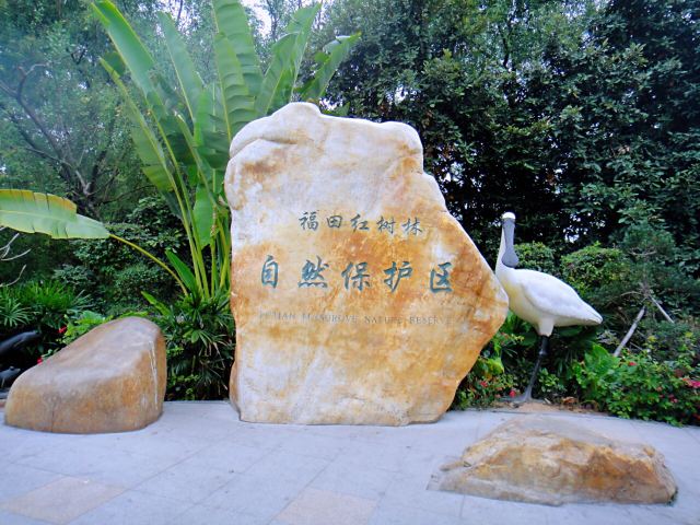 Shenzhen Mangrove Nature Reserve