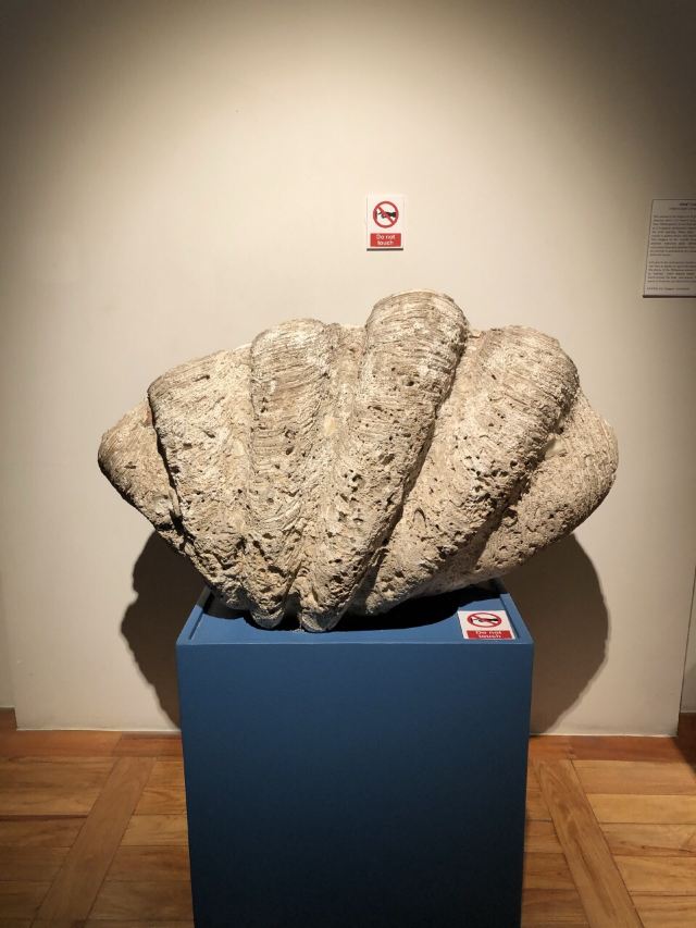 National Museum of Fine Arts