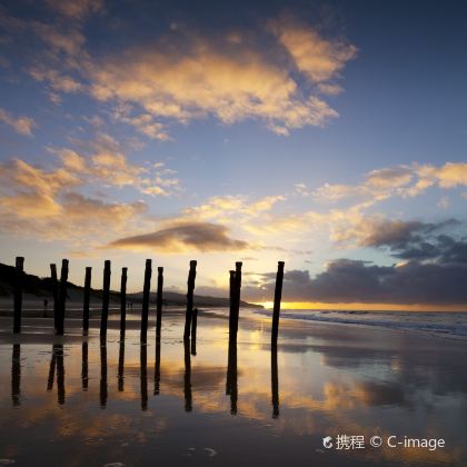 新西兰达尼丁+奥塔戈半岛+泰伊里峡谷观光火车+奥玛鲁蓝企鹅保护中心5日4晚私家团