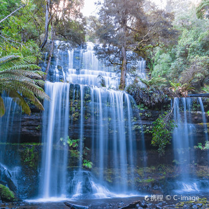 澳大利亚费尔德山国家公园+罗素瀑布+塔斯马尼亚皇家植物园一日游