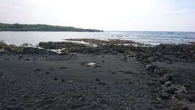 Punaluu Black Sand Beach