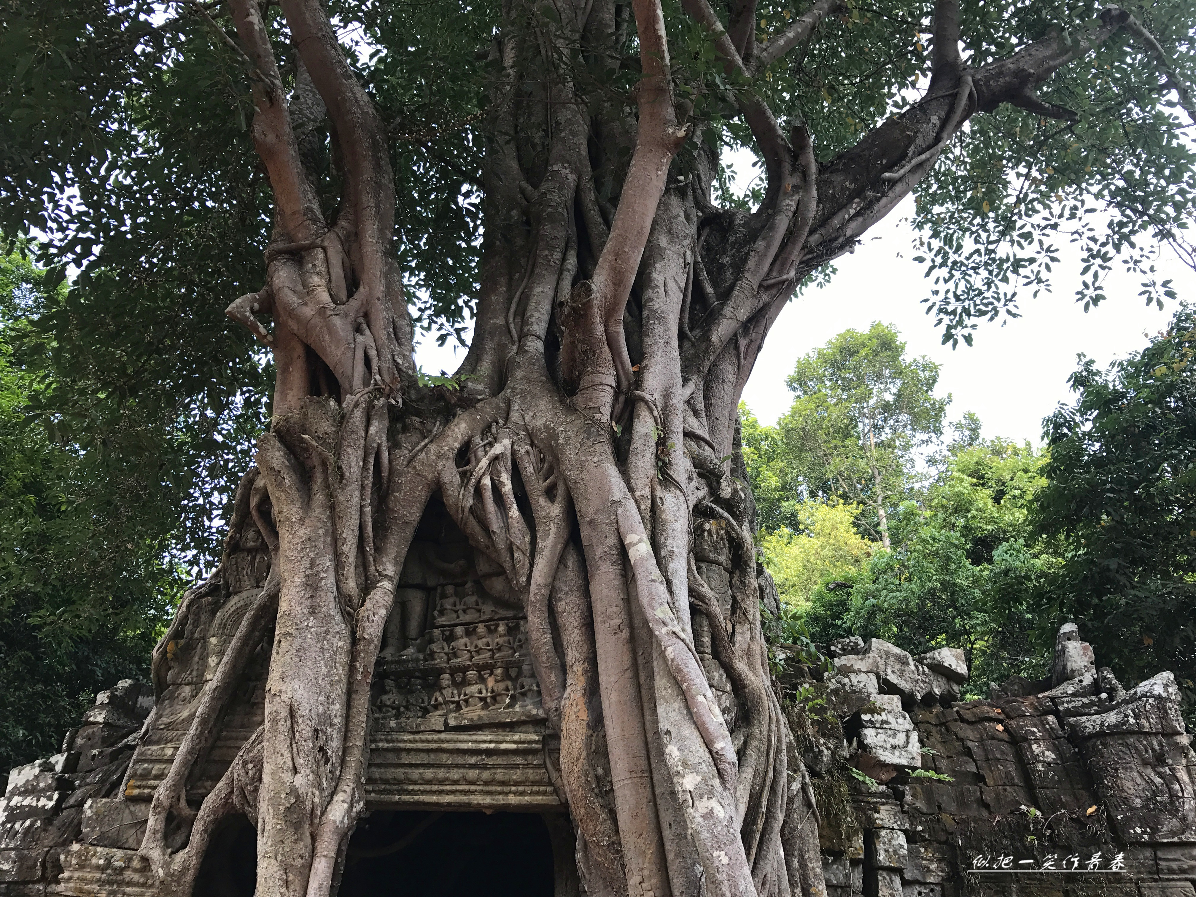 塔逊寺 这座寺很小，只为了看西门的四面佛塔被一棵大树包裹，向导说，塔布隆寺是在建筑内找树根，而塔逊寺