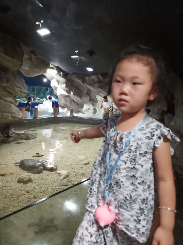 Qujiang Polar Ocean Park